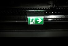 fapello su benefits overview