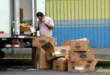 call distribution insights analysis