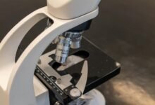 regional mobile usage analysis