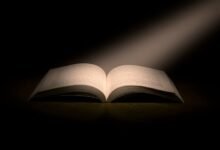 caller insight phone numbers