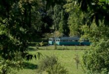 caller security fraud tracking