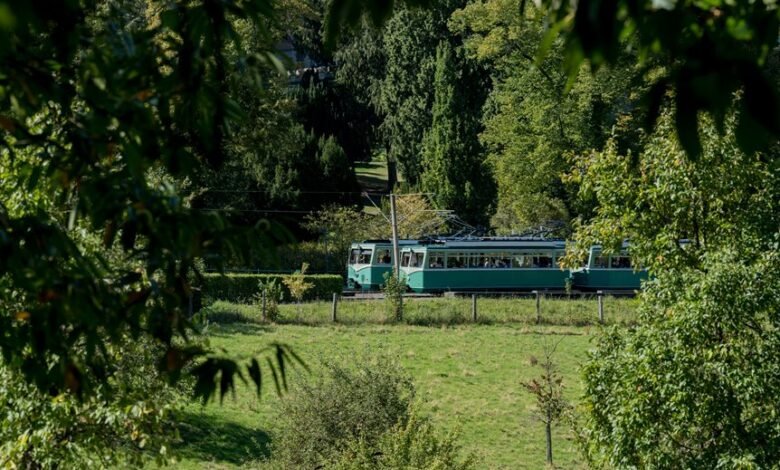 caller security fraud tracking