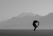 fraud hotline contact numbers