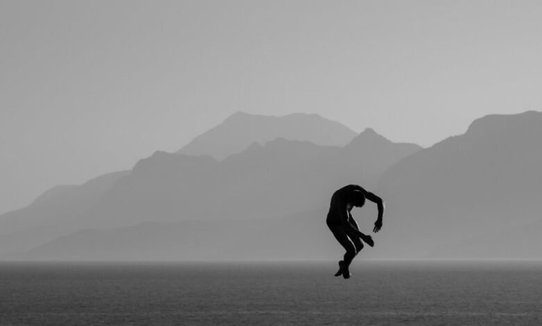 fraud hotline contact numbers