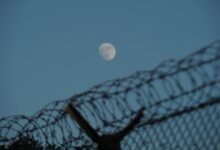 hotline security phone numbers