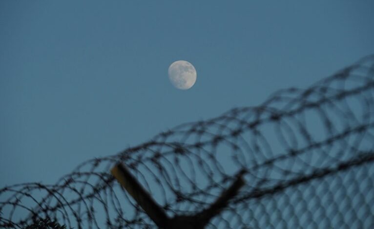 hotline security phone numbers