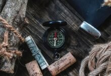 dollar tree schedule access