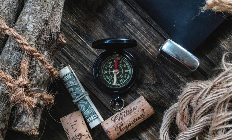 dollar tree schedule access