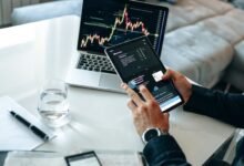 latest cryptocurrency network insights